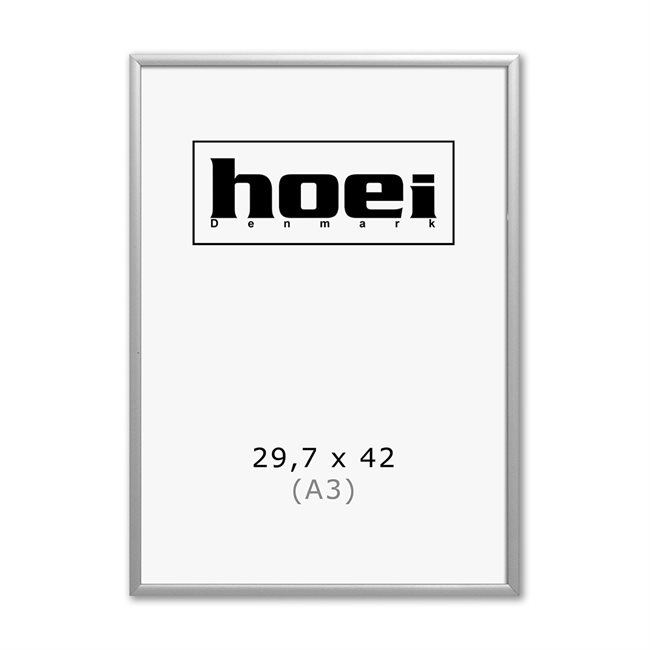 Zilveren Aluminiumframe - 29,7 x 42 cm ( A3 )