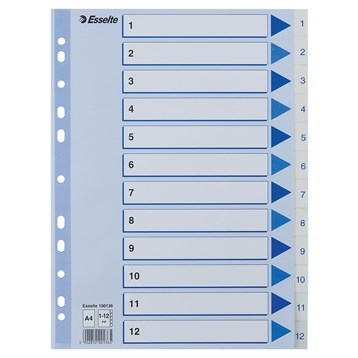 Esselte Register PP A4 1-12 white zou worden vertaald naar:

Esselte Register PP A4 1-12 wit