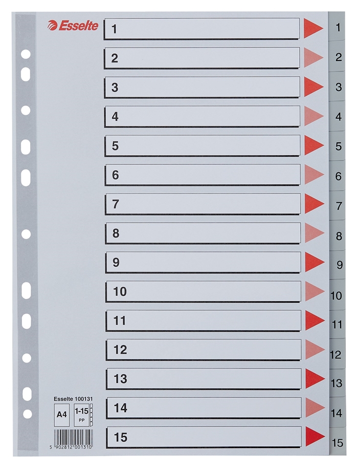 Esselte Register PP A4 1-12 grijs