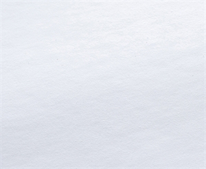 Rauch Vinyl Mat PRO 220 Outdoor Vinylfilm, zelfklevend - 130 g/m², 24" x 30 meter