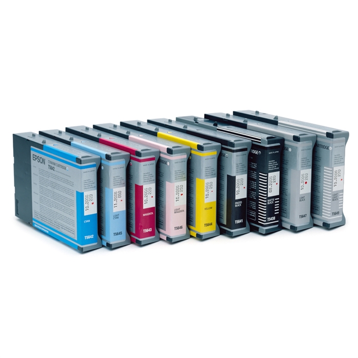 Epson Singlepack Light Cyan T602500